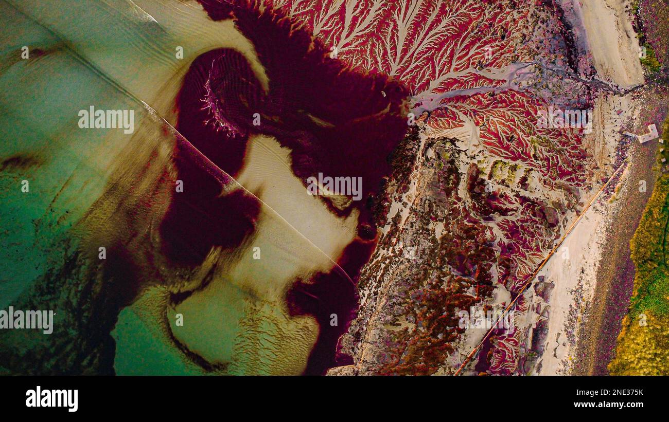 Alleinreisefotografie Stockfoto