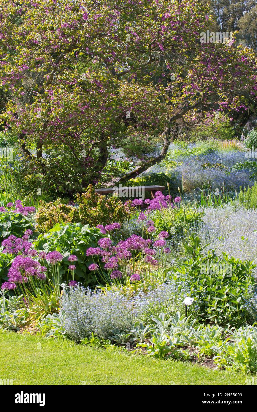 Blumenbeet Im Cottage Garden Stockfoto
