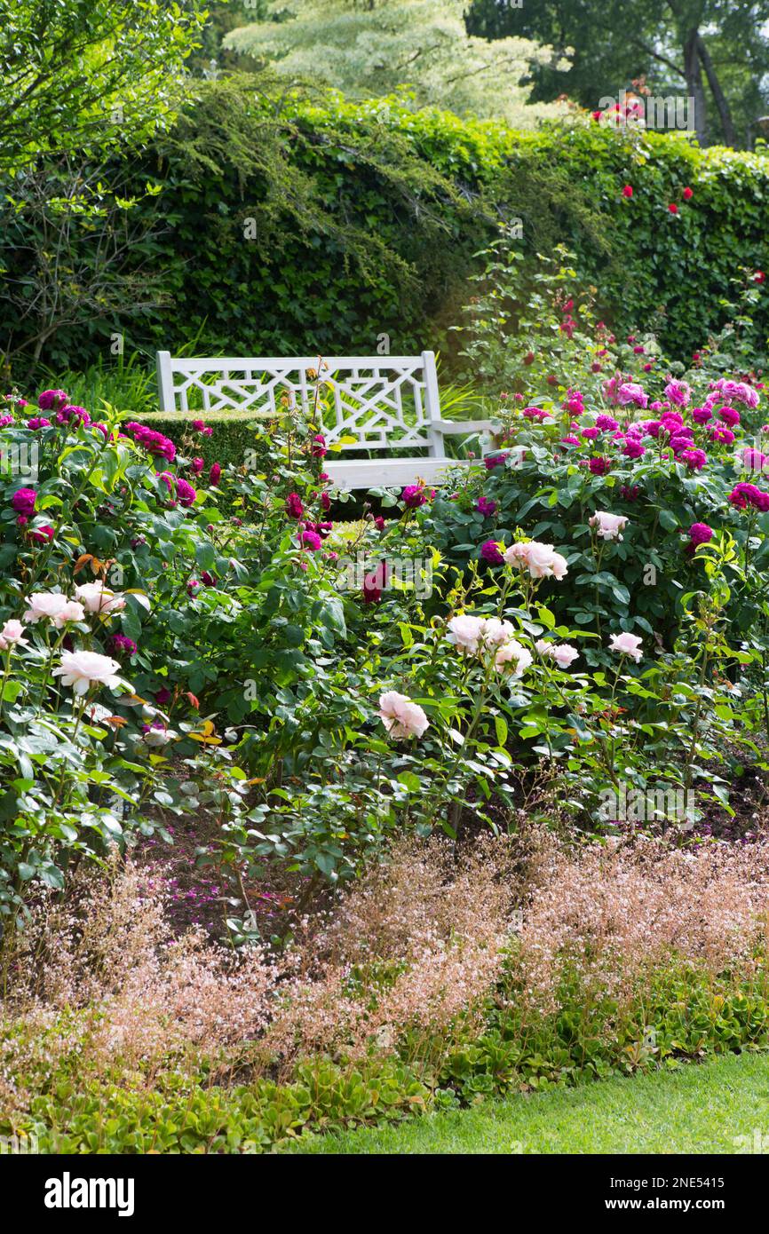 Kunstvoll verzierte Bank im Rosengarten Stockfoto