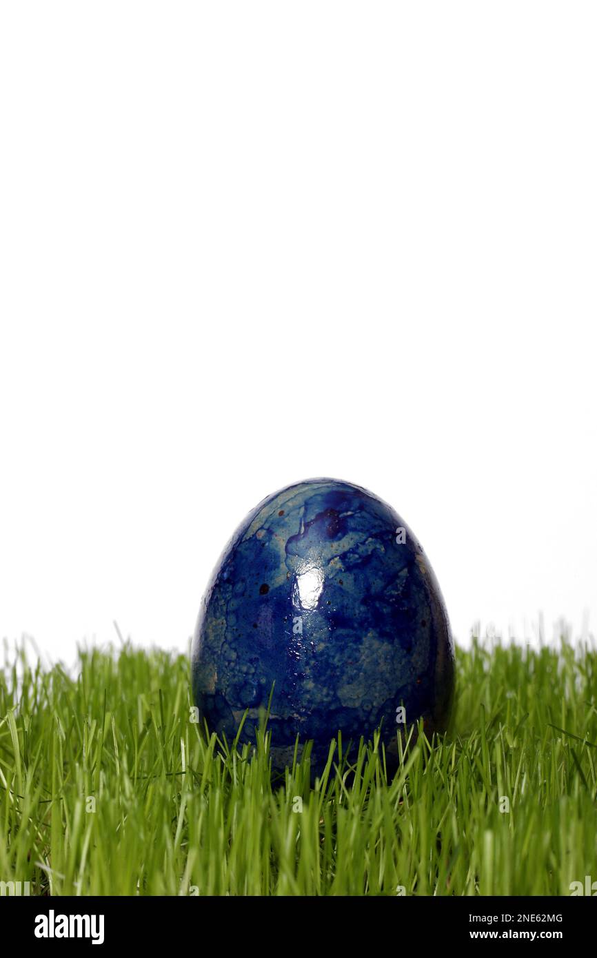 Blau gefärbtes Osterei in frischem Gras Stockfoto