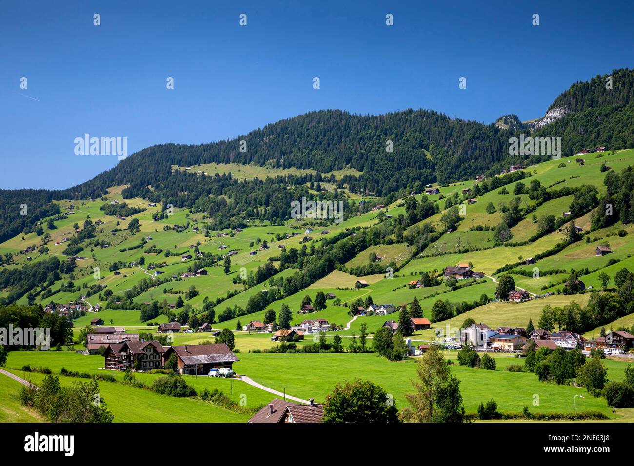 Verstreute Siedlungen und alpen am Fuße der Saentis, Schweiz, St. Gallen, Toggenburg Stockfoto