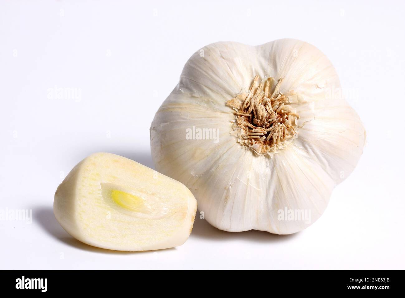 Knoblauch (Allium sativum), Knoblauch und Knoblauchzehe, Ausschnitt Stockfoto