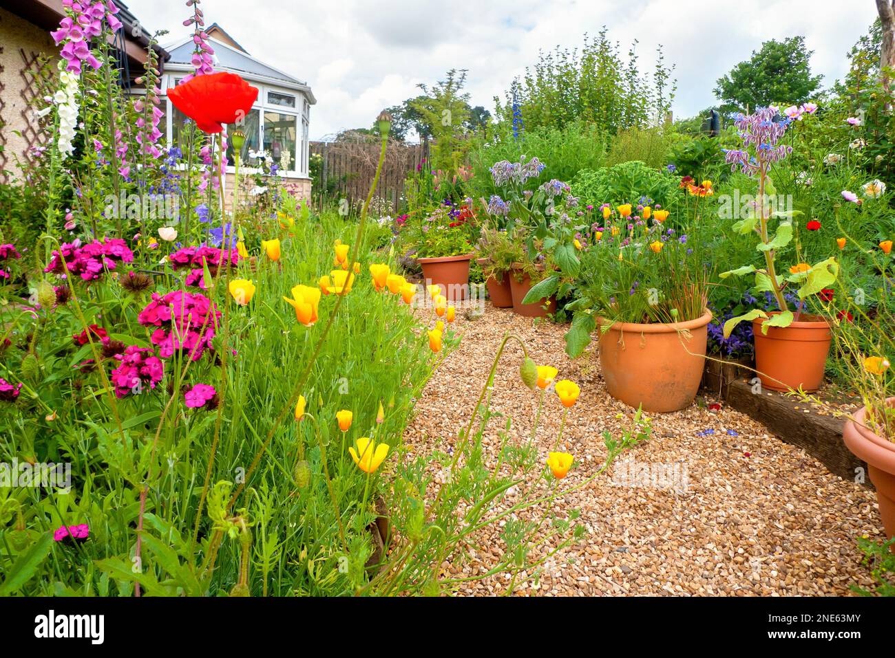 Ein kleiner britischer Garten im Sommer mit Pflanzen im Landhausstil, Kletterrosen, Gartenbank und farbenfrohen Blumenrahmen. Stockfoto