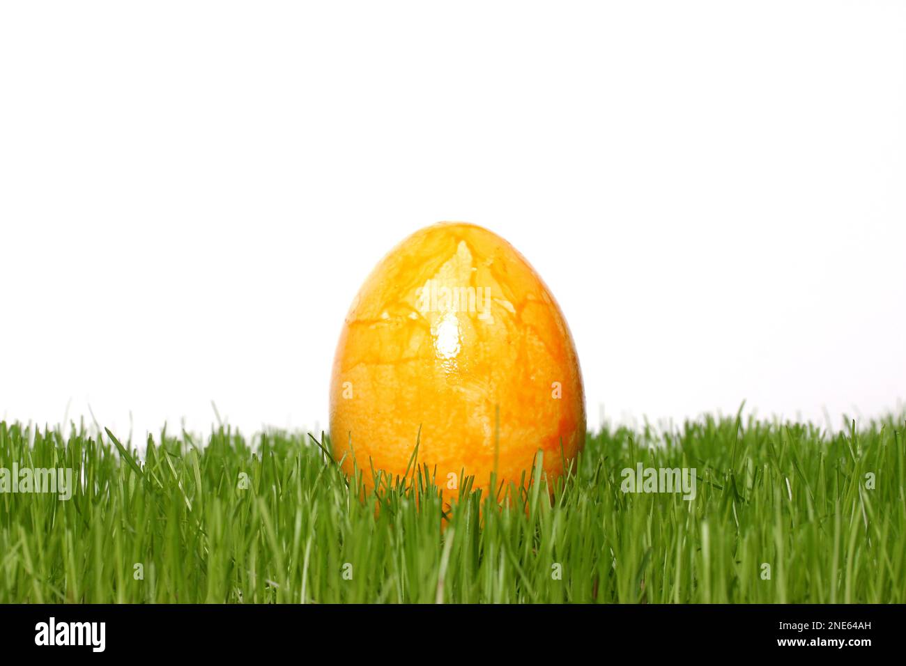 Gelb gefärbtes Osterei in frischem Gras Stockfoto