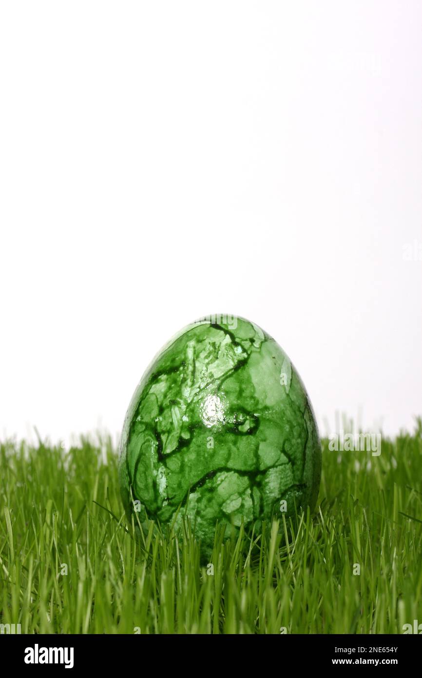 Grün gefärbtes Osterei in frischem Gras Stockfoto