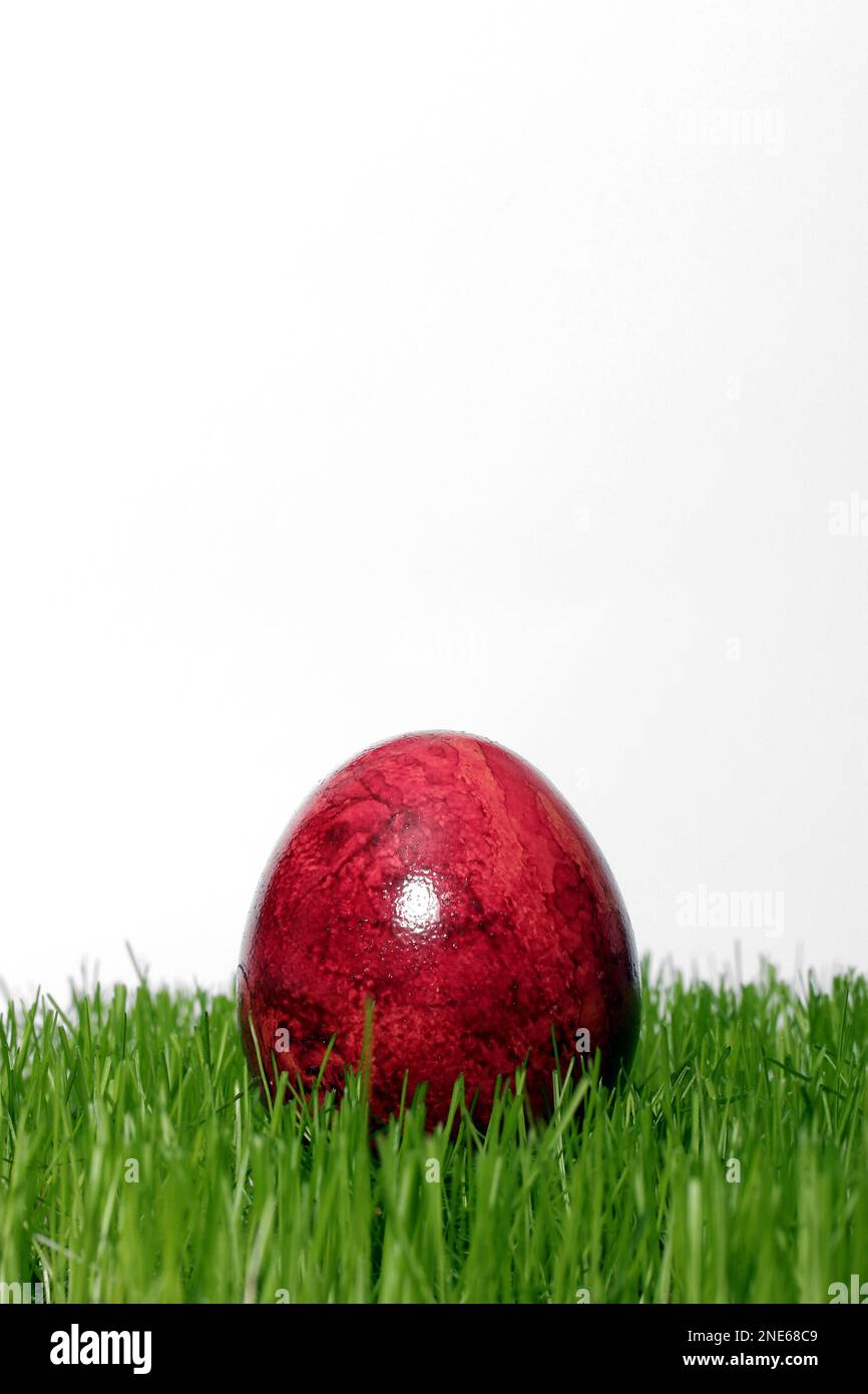 Rot gefärbtes Osterei in frischem Gras Stockfoto