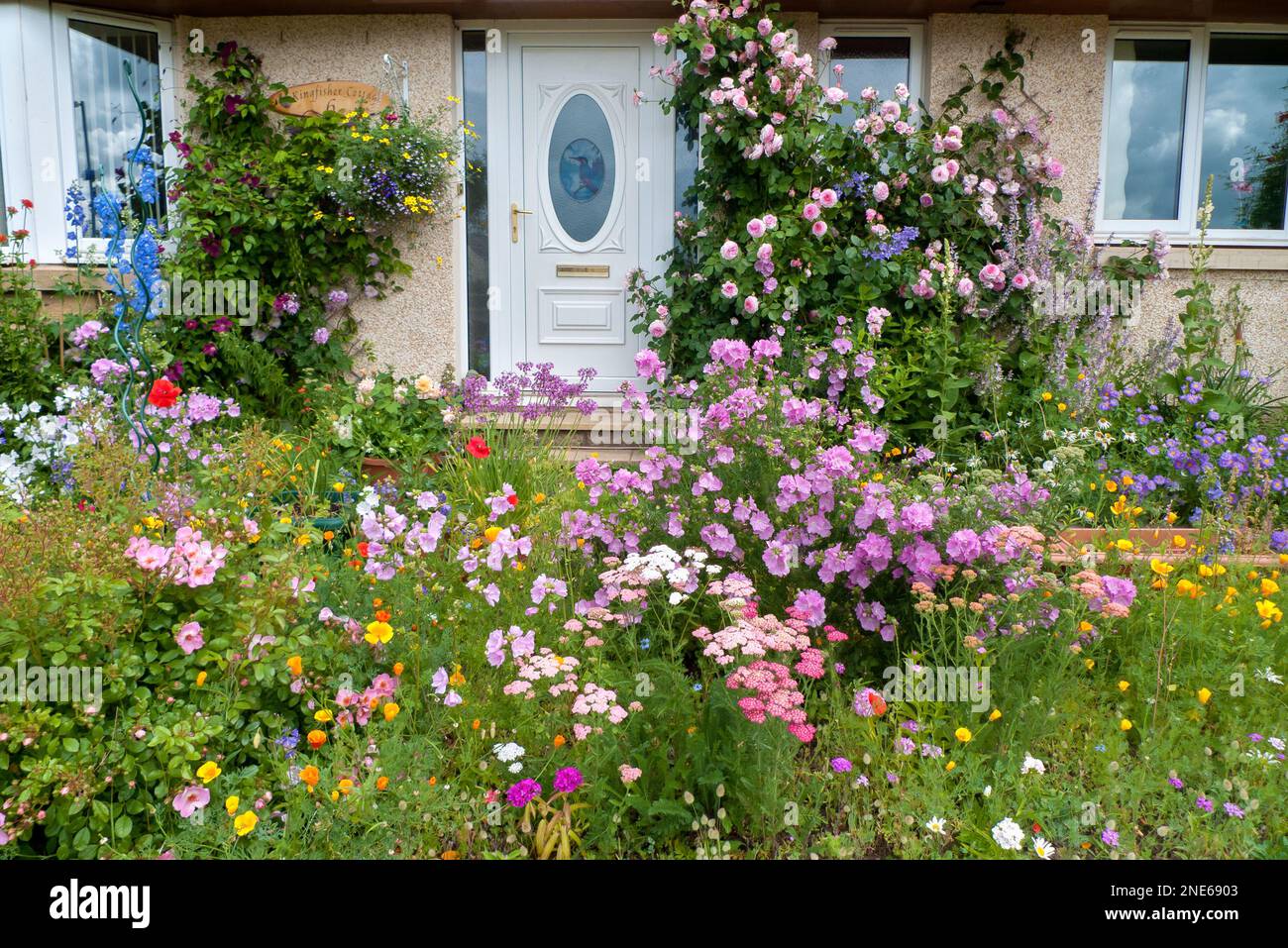 Eine hübsche und farbenfrohe Nahaufnahme eines Schokoladenhauses mit Gartenpflanzen im Landhausstil, darunter Rosen und harte jährliche Blumen. Stockfoto