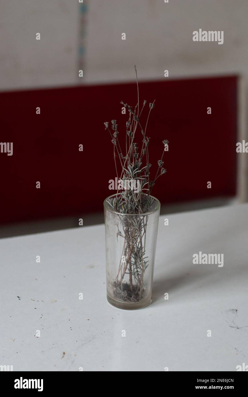 Getrocknete Lavendelblumen in einem Glas Stockfoto