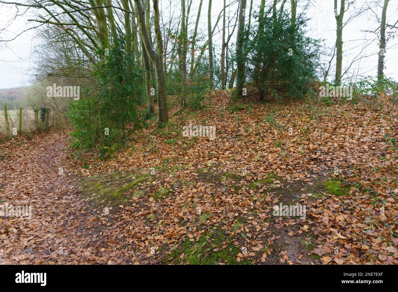 Teil des Wat's Dyke Way Wanderwegs (Walisisch: Clawdd Wat) Teil eines alten Erdwerks, das entlang der englischen walisischen Grenze in Shropshire errichtet wurde Stockfoto