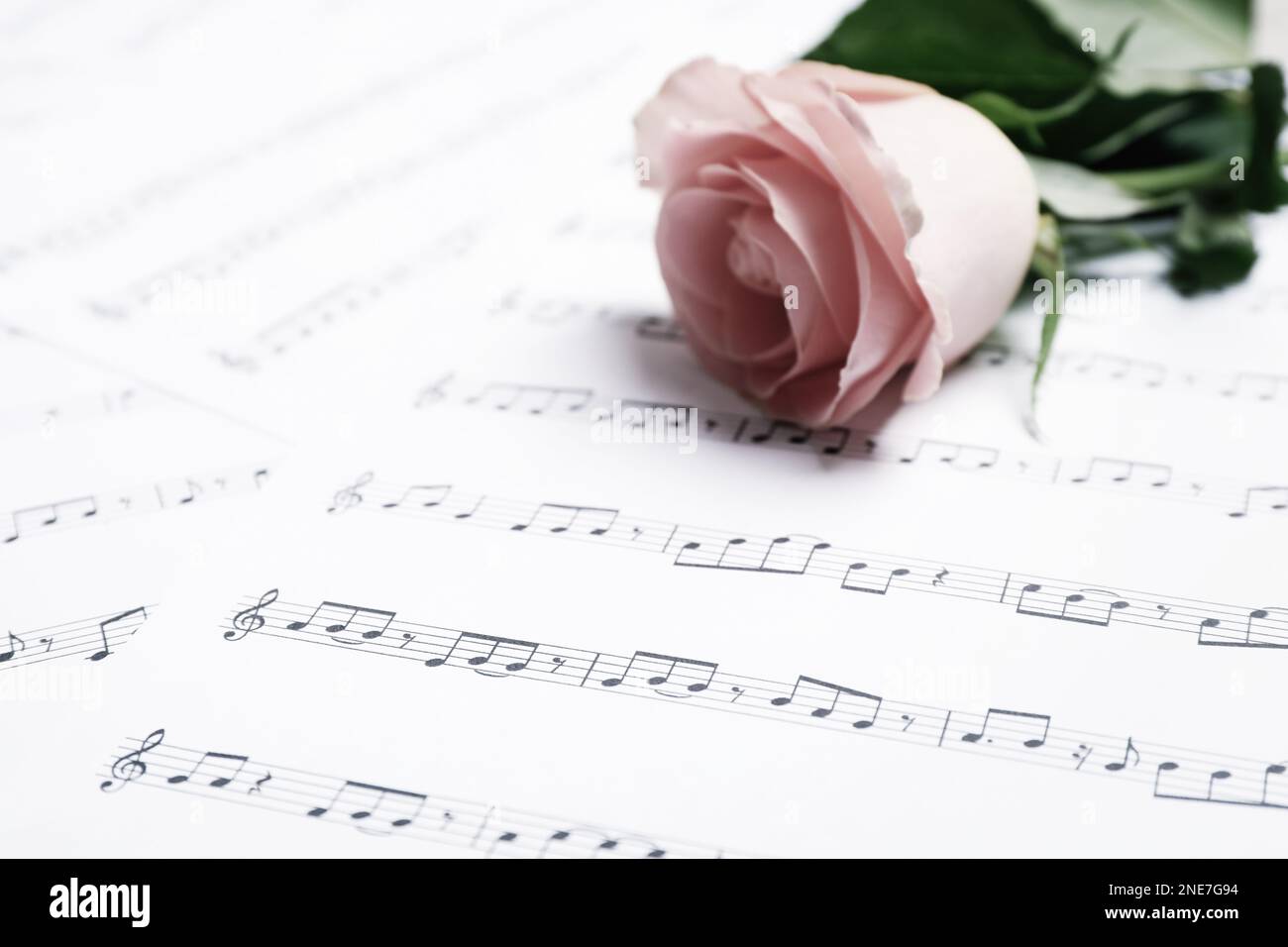 Schöne Rose auf dem Blatt mit Noten, Nahaufnahme. Platz für Text Stockfoto
