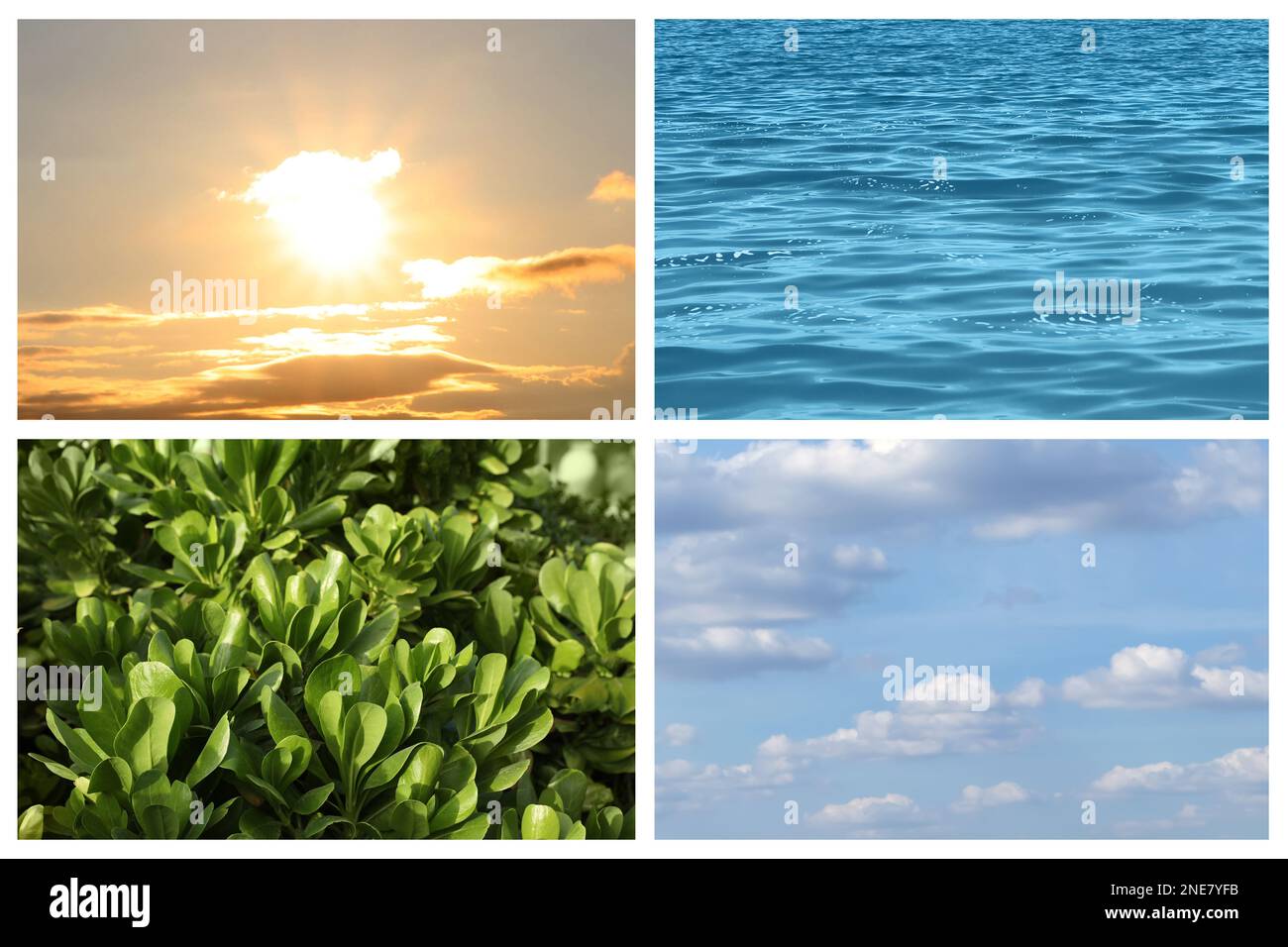 Collage mit Fotos von Wasser, grünen Pflanzen, blauem Himmel und Sonne. Wunderschöne Natur Stockfoto