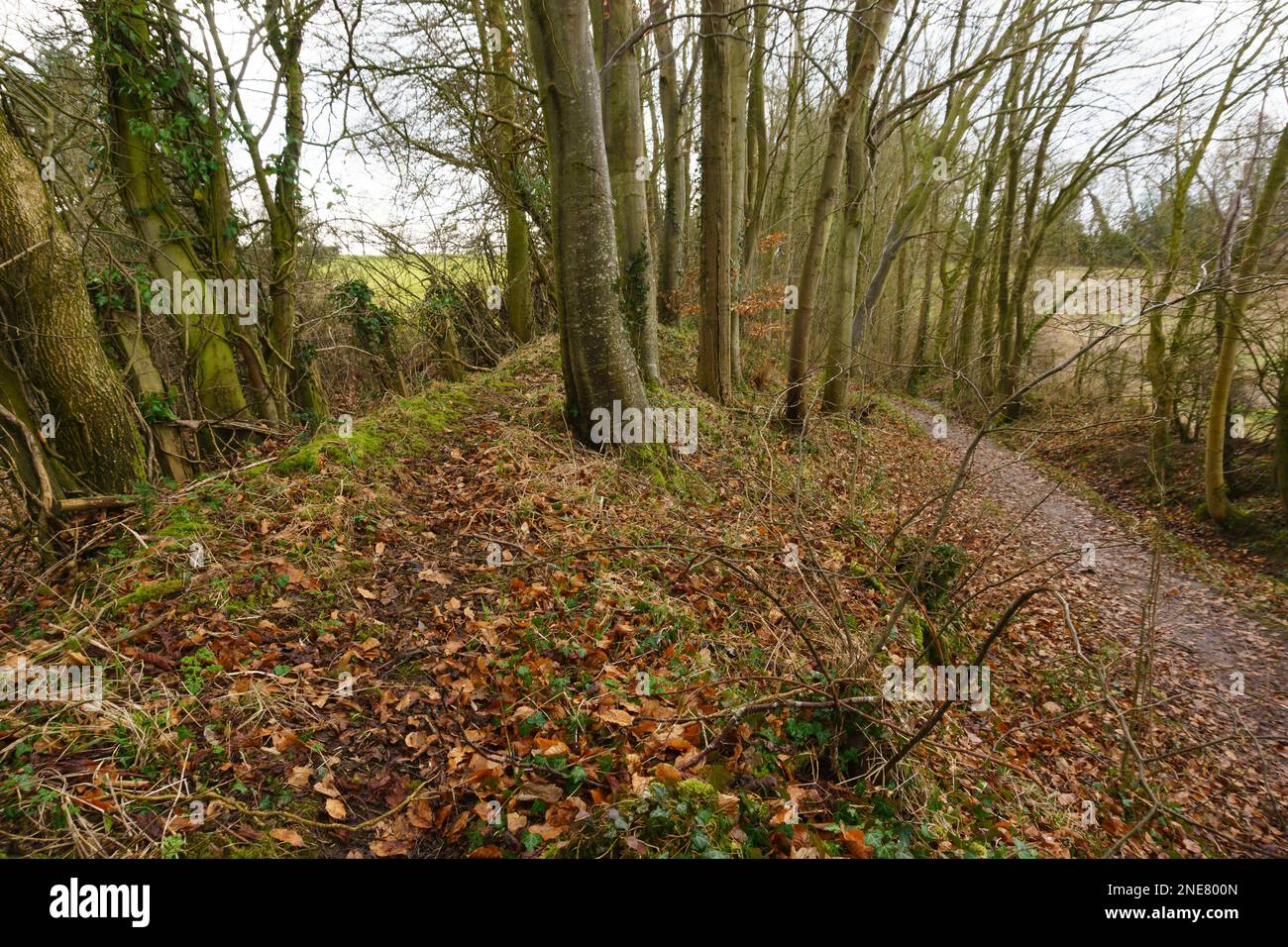 Der Wat's Dyke Way Wanderweg (Walisisch: Clawdd Wat) ist Teil eines alten Erdwerks, das entlang der englischen walisischen Grenze in Shropshire errichtet wurde Stockfoto