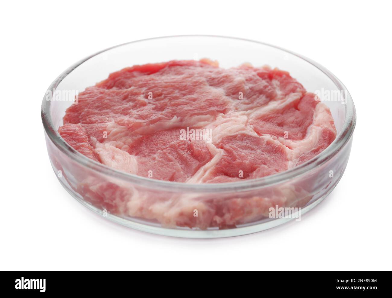 Petrischale mit rohem Zuchtfleisch auf weißem Hintergrund Stockfoto
