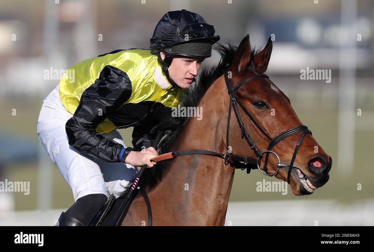 Plumpton, Vereinigtes Königreich, 13. Februar 2023 : Freddie Gordon Ridding Invictus De Brion wird für die Hürde Strong Flavours Catering Maiden auf der Rennbahn Plumpton posten. Kredit: James Boardman/Alamy Live News Stockfoto