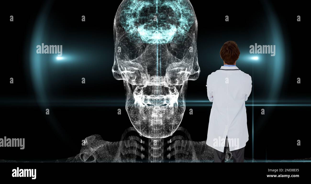 Die Zusammensetzung des Arztes unter Verwendung des virtuellen Bildschirms mit Schädelmodell Stockfoto