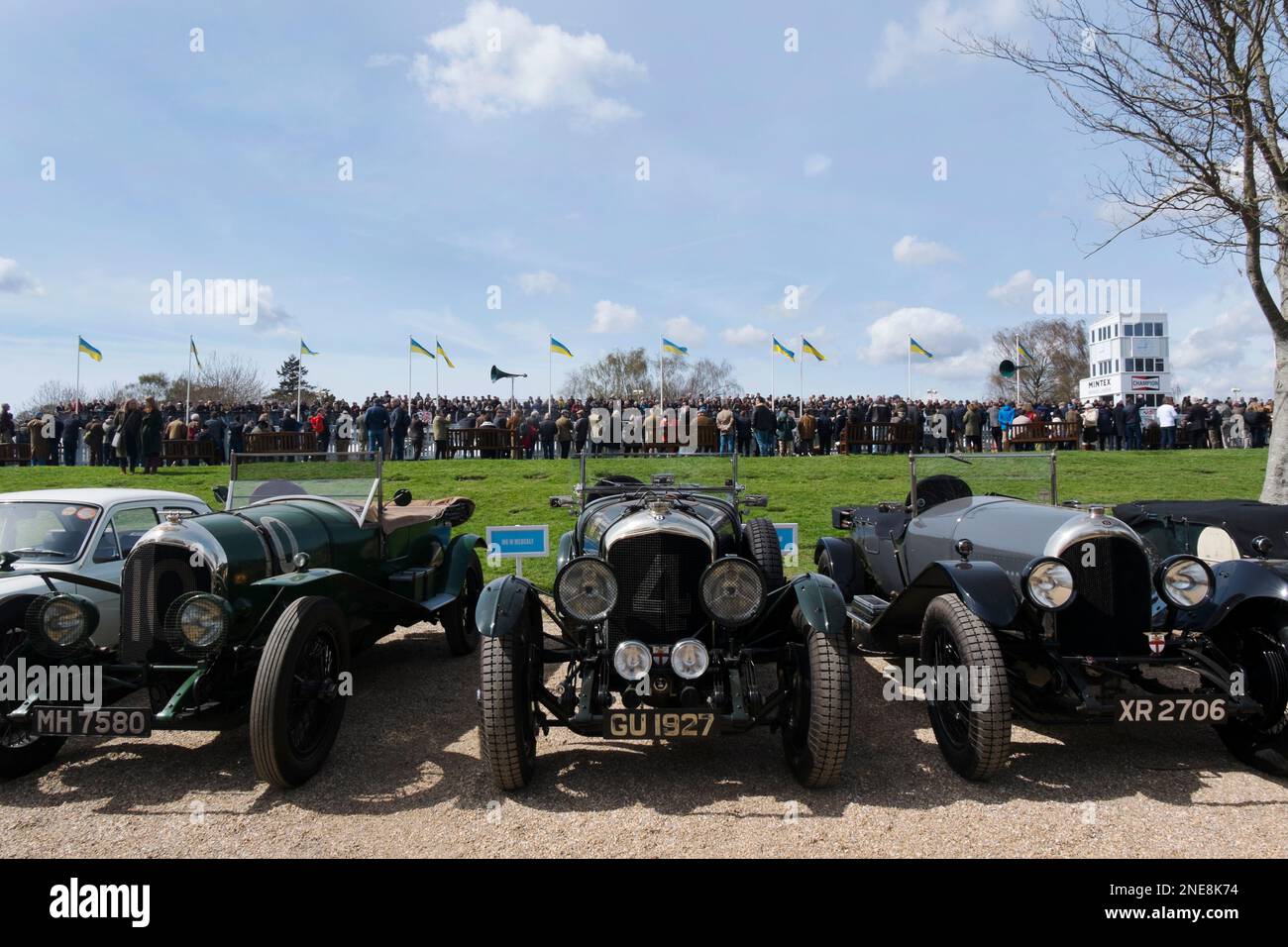 1930er Bentley Blowers in the Governers' Parking at the 79. Members' Meeting, Goodwood Motor Racing Circuit, Chichester, West Sussex, Großbritannien Stockfoto