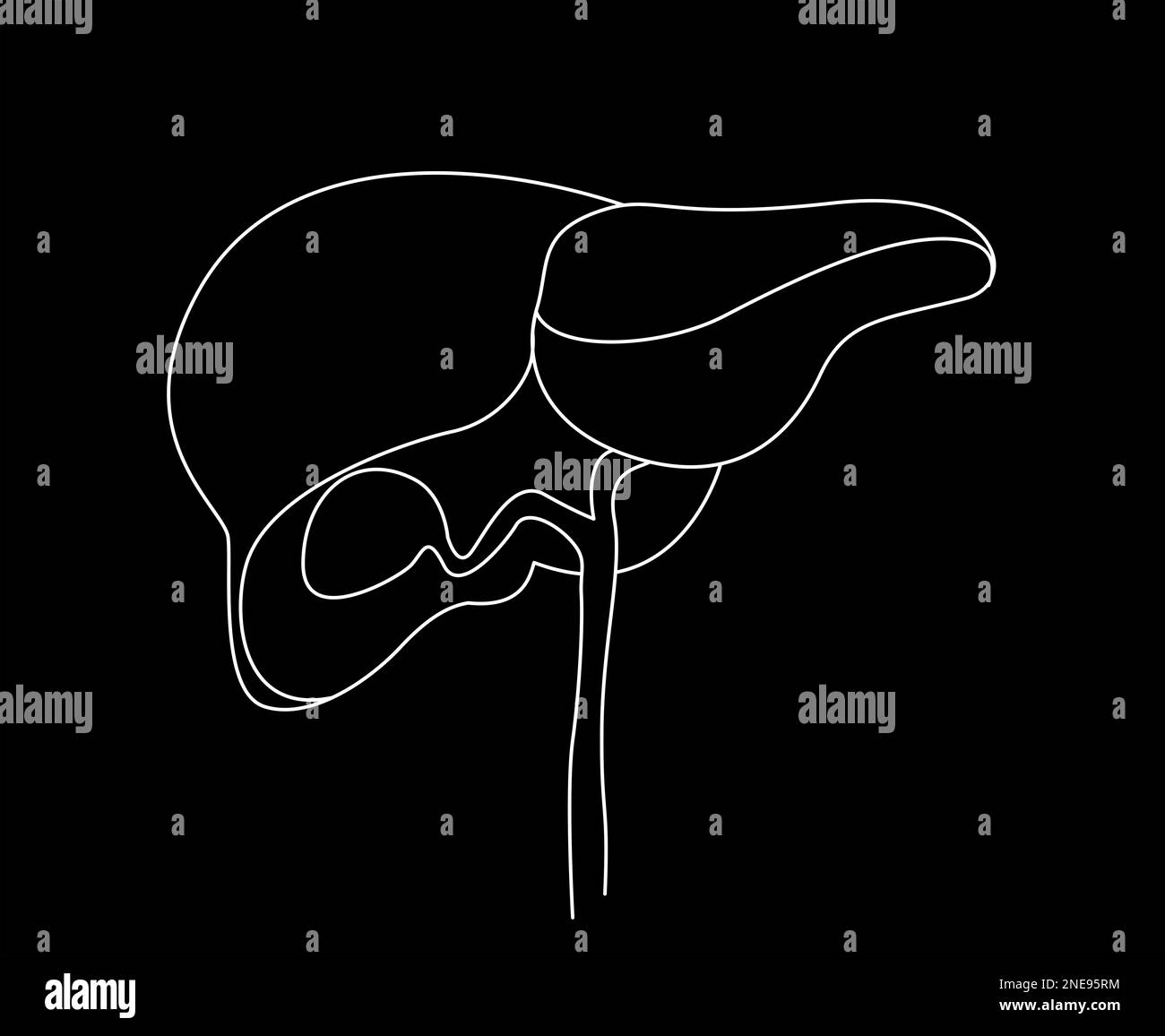 Abbildung: Leber auf schwarzem Hintergrund. Menschliche Anatomie Stockfoto