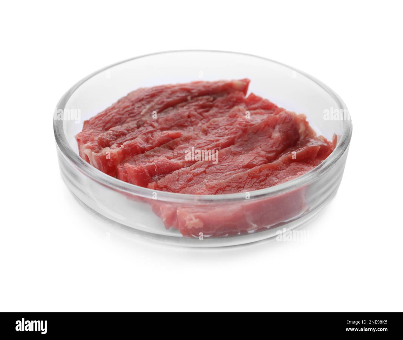 Petrischale mit Stücken rohem Zuchtfleisch auf weißem Hintergrund Stockfoto