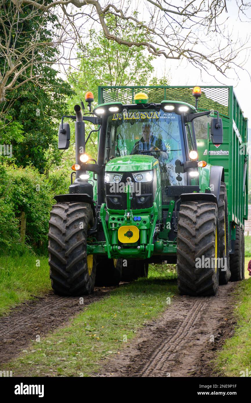 John Deere Traktor führt einen Anhänger mit frisch geerntetem Gras zur Silageklemme auf einem Milchviehbetrieb in Dumfries, Schottland, Großbritannien. Stockfoto John Deere Traktor führt einen Anhänger mit frisch geerntetem Gras zur Silageklemme auf einem Milchviehbetrieb in Dumfries, Schottland, Großbritannien. Stockfoto