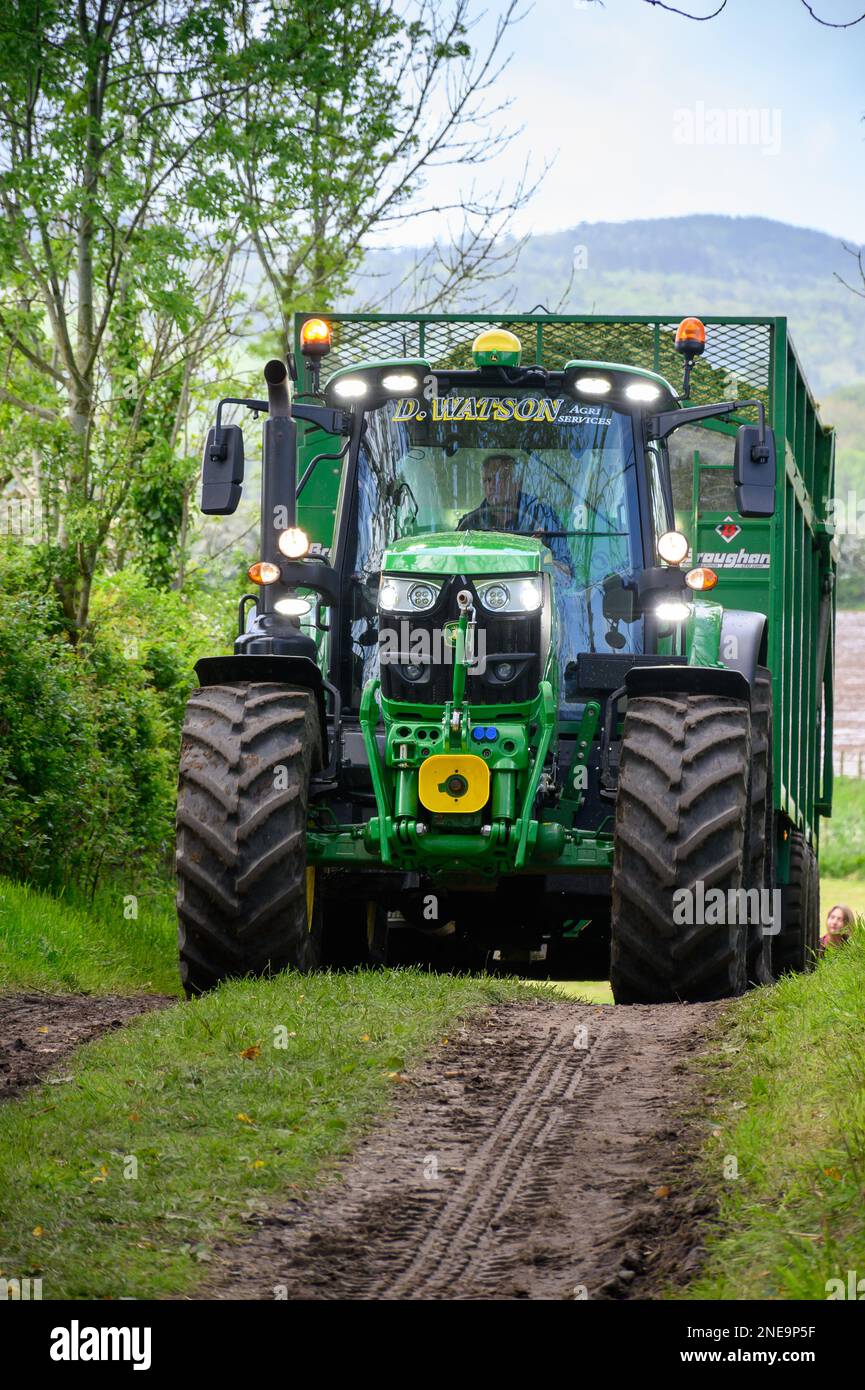 John Deere Traktor führt einen Anhänger mit frisch geerntetem Gras zur Silageklemme auf einem Milchviehbetrieb in Dumfries, Schottland, Großbritannien. Stockfoto John Deere Traktor führt einen Anhänger mit frisch geerntetem Gras zur Silageklemme auf einem Milchviehbetrieb in Dumfries, Schottland, Großbritannien. Stockfoto