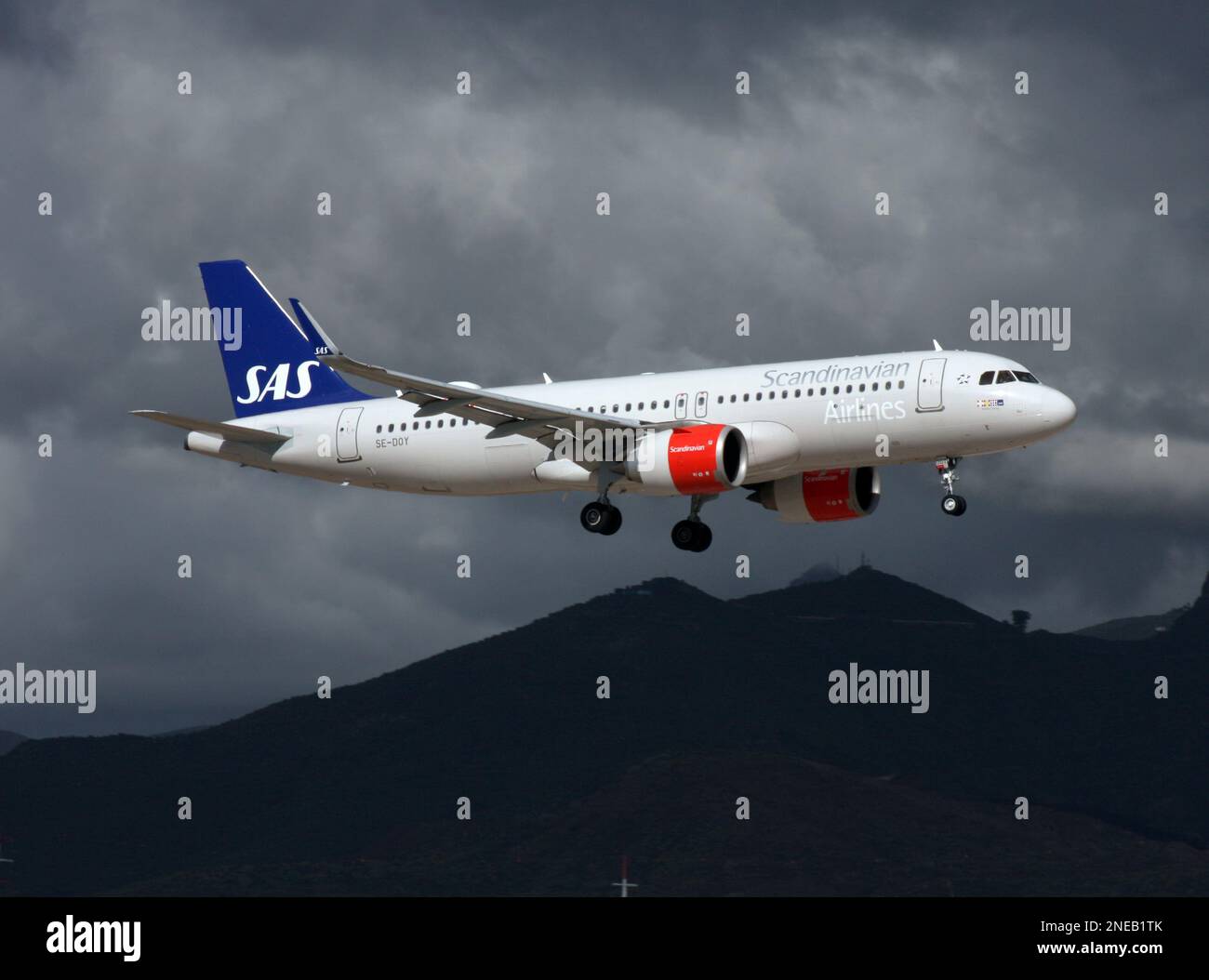 Ein Scandinavian Airlines Airbus A320neo, der am Flughafen Teneriffa Süd ankommt Stockfoto
