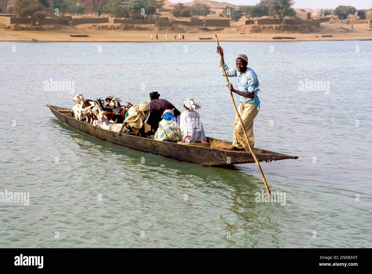 Der Niger-Mann bringt Menschen und Ziegen über den Fluss Niger. Stockfoto