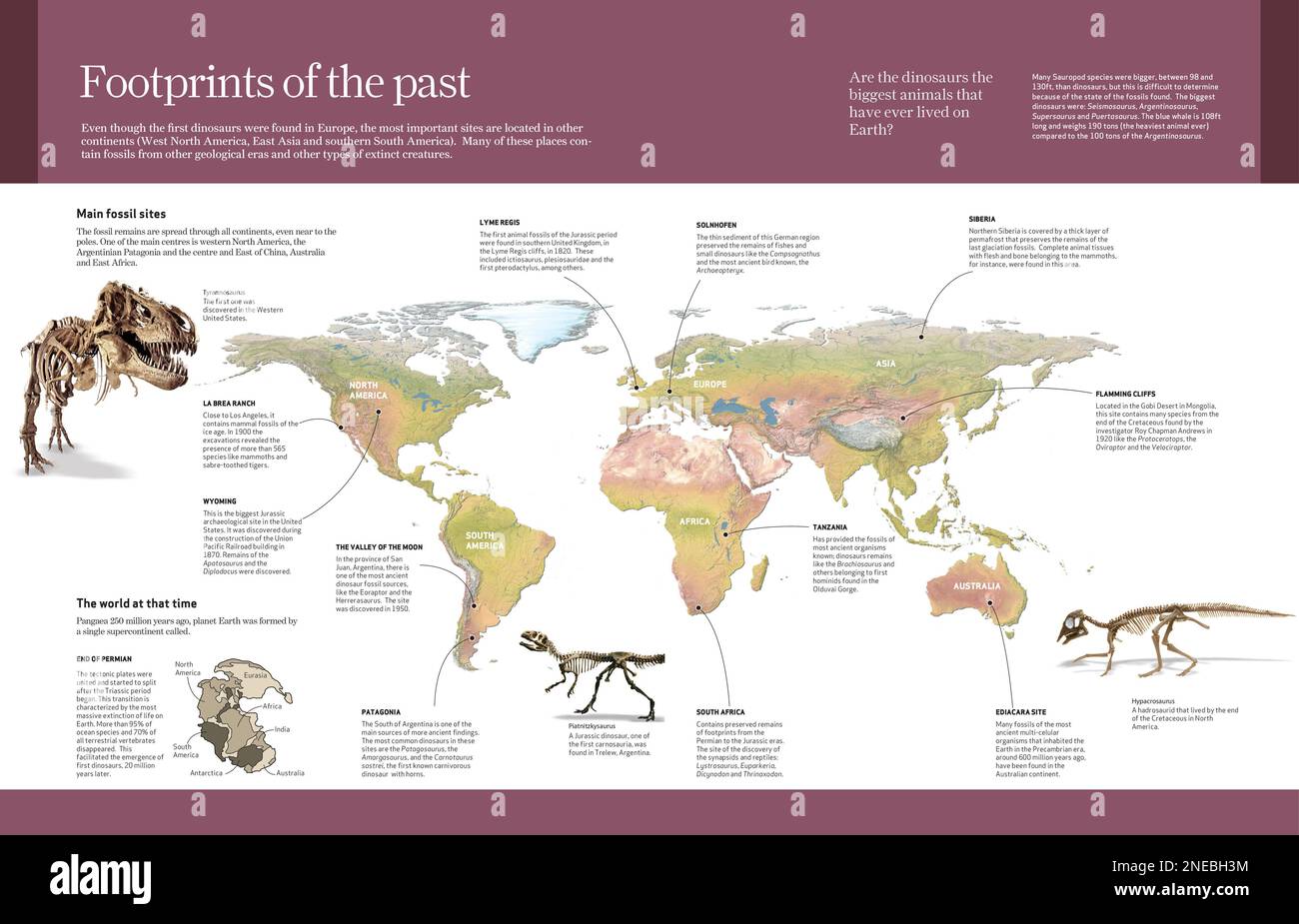 Computergrafiken über Dinosaurier und andere prähistorische Arten, Fossilien auf der ganzen Welt. [Adobe InDesign (.indd); 4960x3188]. Stockfoto
