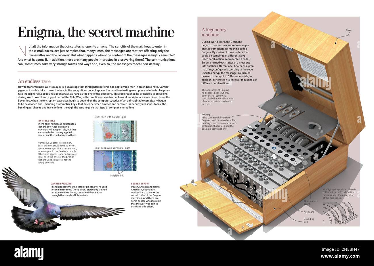 Infografik über die elektromechanische Enigma-Maschine, die während des Ersten Weltkriegs von den Deutschen verwendet wurde, um geheime Botschaften zu senden, die von Gegnern nicht abgefangen wurden. [Adobe InDesign (.indd)]. Stockfoto