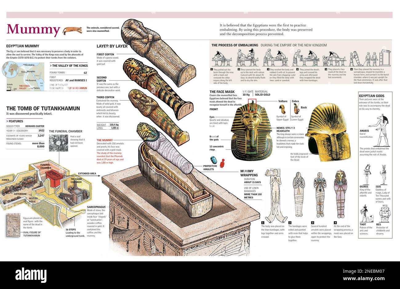 Infografiken zum Mumifizierungsprozess im alten Ägypten und der Mumie König Tutanchamuns. [Adobe Illustrator (.ai); 4960x3248]. Stockfoto