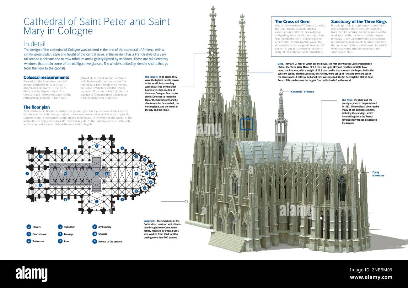 Infografik der Hohen Kathedrale von St. Peter und Maria in Köln (Deutschland), im gotischen Stil und dem St. Peter und St. Mary. Der Bau begann 1239 und wurde 1880 abgeschlossen. [Adobe InDesign (.indd)]. Stockfoto