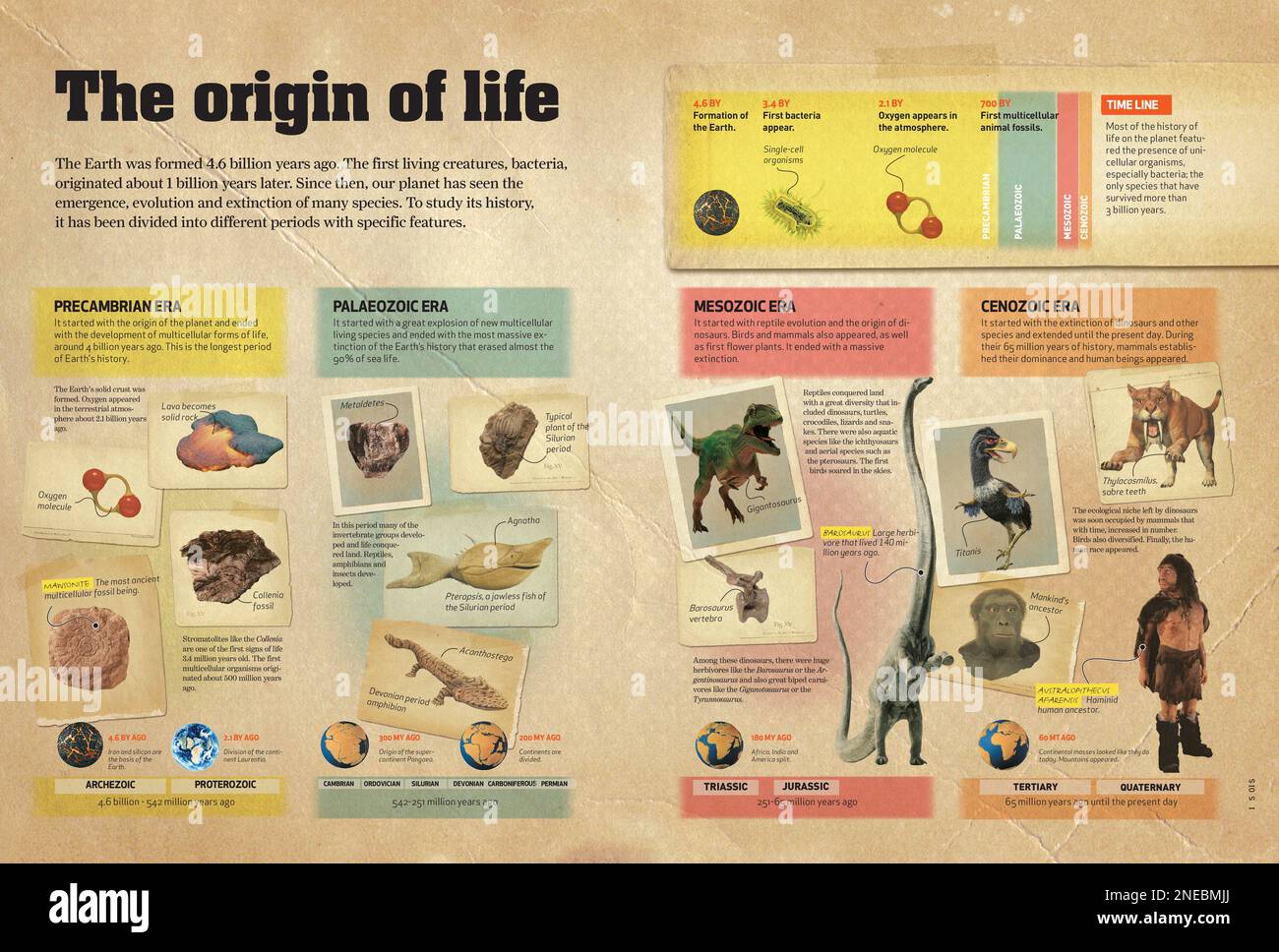 Infografiken über die verschiedenen geologischen Epochen, die zur Entstehung und Evolution des Lebens auf der Erde führten. [QuarkXPress (.qxp); 4842x3248]. Stockfoto
