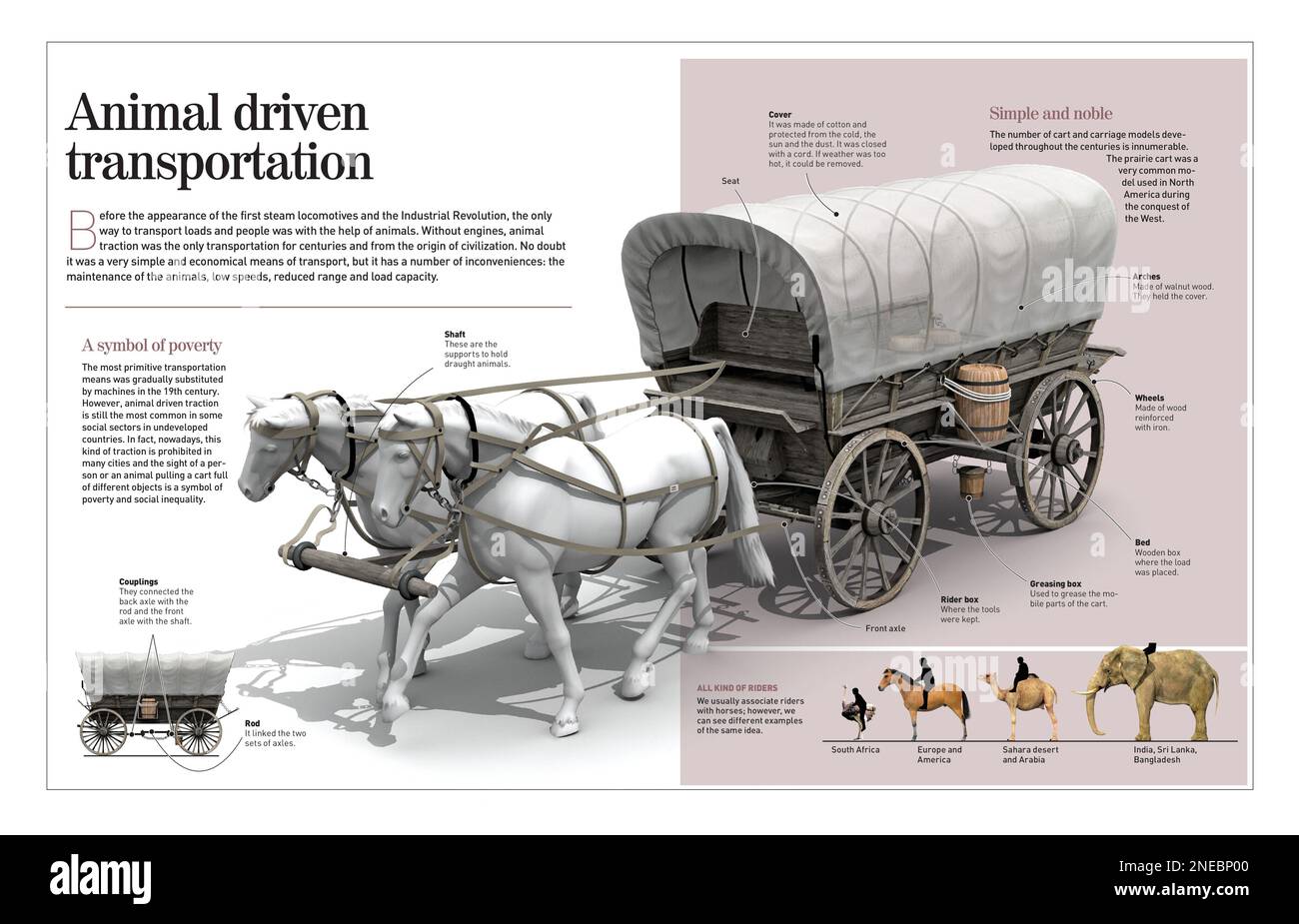 Infografik, die uns zurück zu den Ursprüngen der Zivilisation führt, als Menschen mit Tierwagen arbeiteten und sich bewegten. Alles änderte sich mit der industriellen Revolution und dem Erscheinungsbild der Dampflokomotive. [Adobe InDesign (.indd); 4960x3188]. Stockfoto