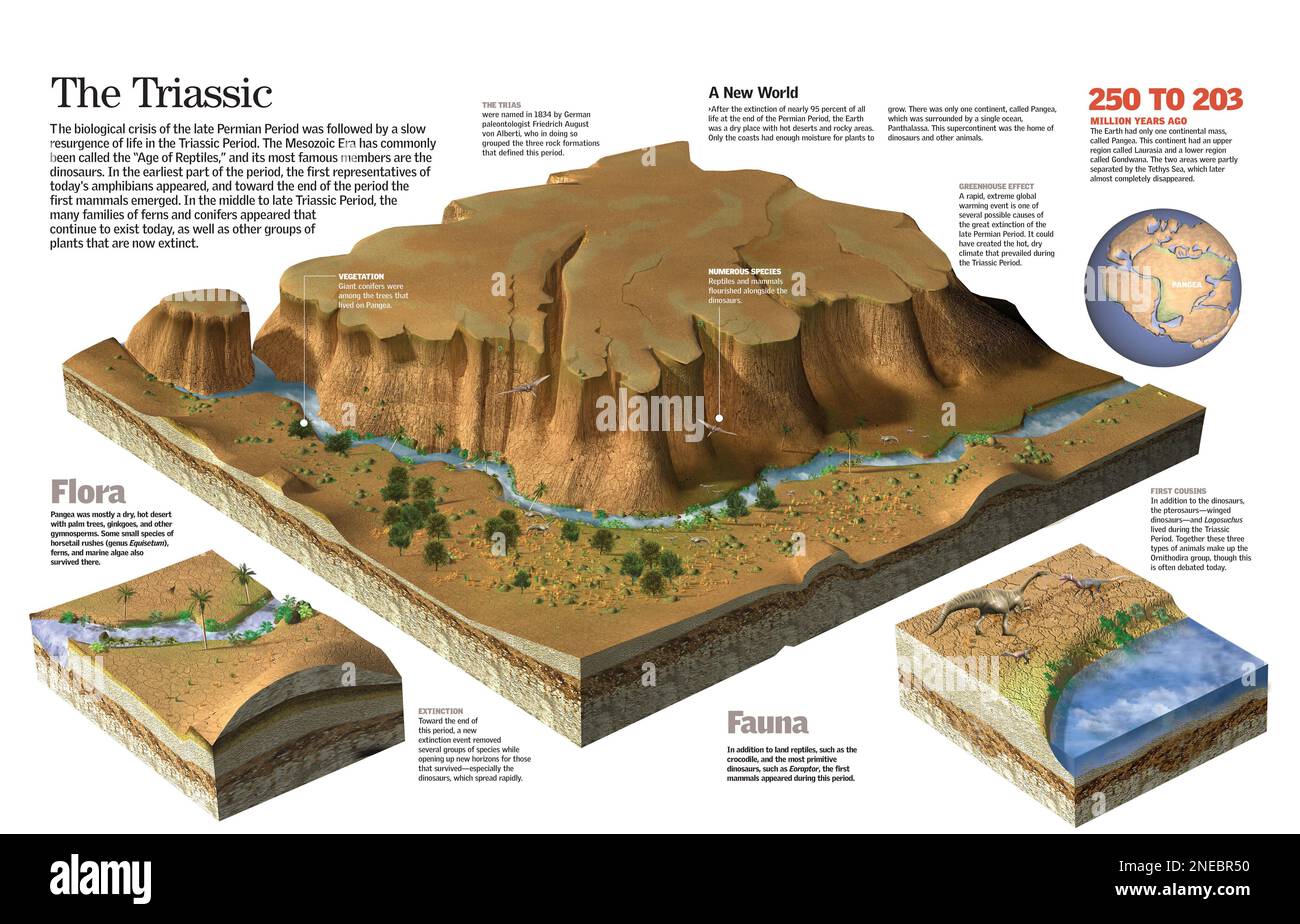 Infografik zur Geografie, Fauna und Flora der Triassezeit der Erde. [QuarkXPress (.qxp); 6259x4015]. Stockfoto