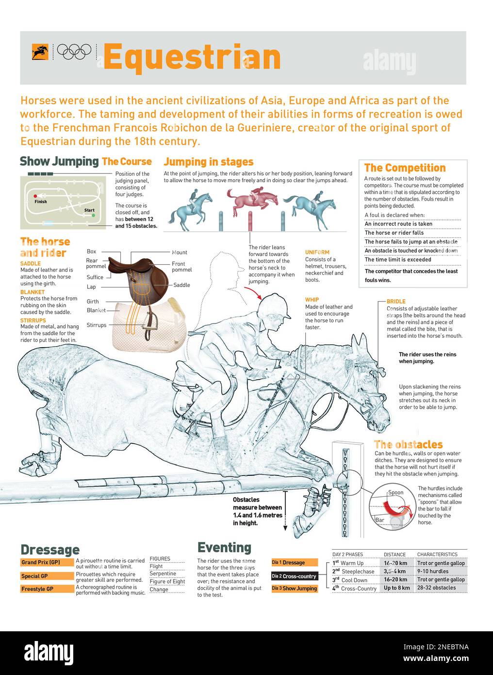 Infografiken über die Vorkehrungen für den Pferdesport, die Ausrüstung und die Phasen des Sprungs. [Adobe Illustrator (.ai)]. Stockfoto