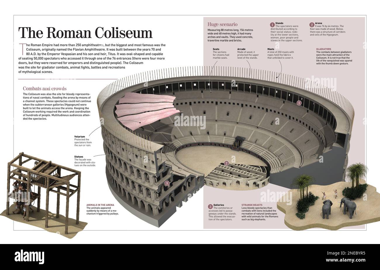 Infografik über das erste große Amphitheater: Das römische Kolosseum (1. Jahrhundert v. Chr.). [Adobe InDesign (.indd); 4960x3188]. Stockfoto