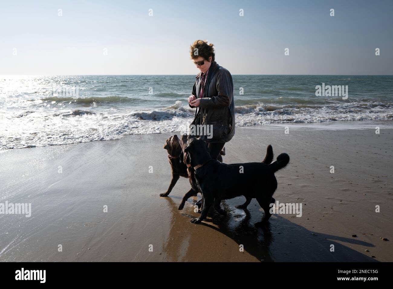 Frauen, die mit ihren Labrador-Hunden am Strand spazieren gehen Stockfoto