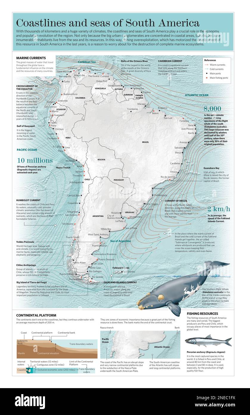 Infografik über die Küsten und Meere rund um Südamerika. [Adobe Illustrator (.ai); 3661x5669]. Stockfoto