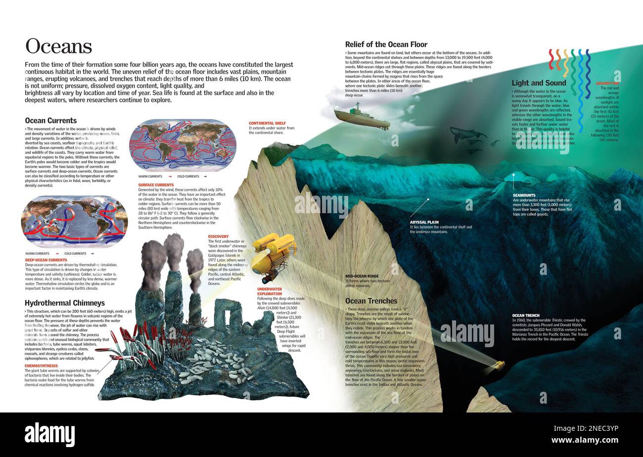 Infografik zum Meeresökosystem, seiner Geologie und seinen Hauptmerkmalen. [QuarkXPress (.qxp); 6259x4015]. Stockfoto