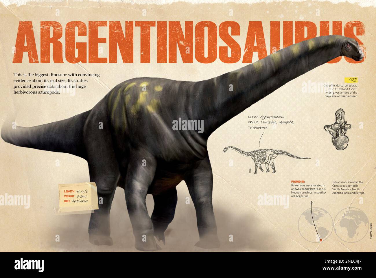Fossilien argentinosaurus -Fotos und -Bildmaterial in hoher Auflösung ...