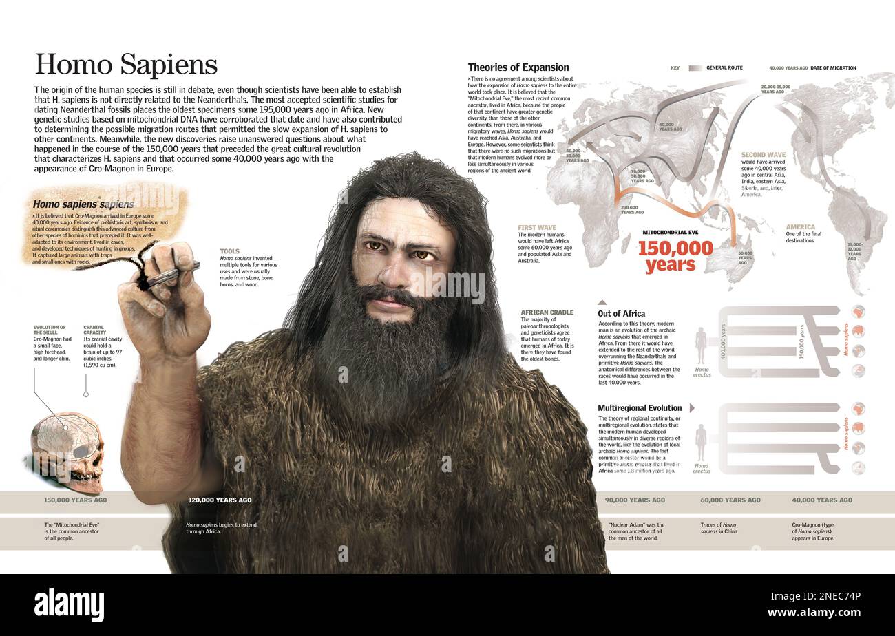 Infografik des Homo sapiens sapiens und seine weltweite Ausbreitung. [QuarkXPress (.qxp); 6259x4015]. Stockfoto