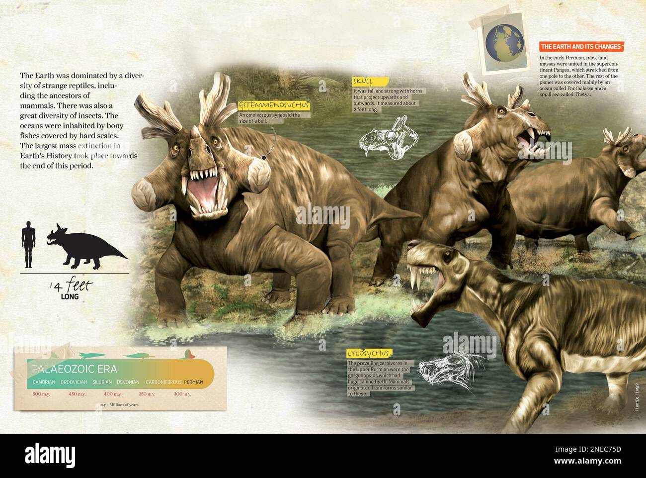 Infografiken über die permische Zeit, die damalige Geologie der Erde und die Tierarten, die sie bewohnten. [QuarkXPress (.qxp); 4842x3248]. Stockfoto