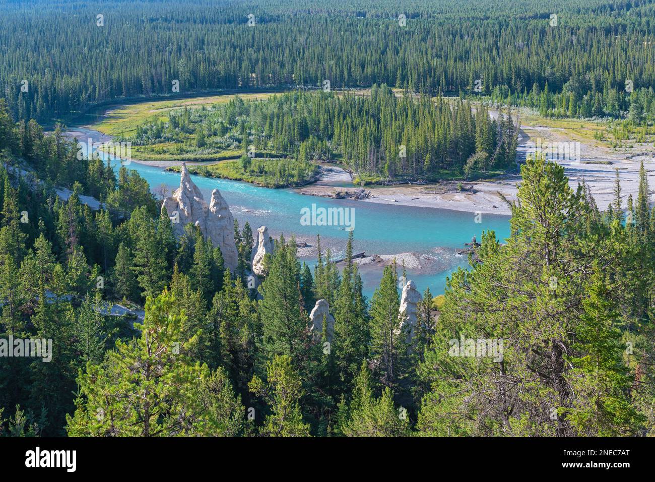 Überraschungsviertel im Banff-Nationalpark mit Hoodoos-Felsformation und Bow River, Alberta, Kanada. Stockfoto