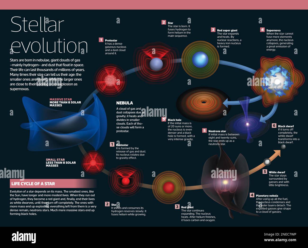 Infografik zur Evolution der Sterne: Von der Geburt in den Nebel bis zu den größten, nahe ihrer Abkühlung oder Explosion als Supernovae. [Adobe InDesign (.indd); 4795x3543]. Stockfoto