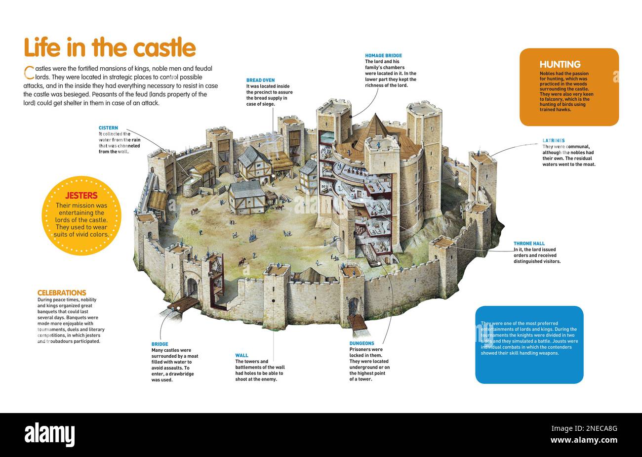 Infografik, die die Struktur und das Leben in einer mittelalterlichen Burg Westeuropas präsentiert. [QuarkXPress (.qxp); Adobe InDesign (.indd); 4960x3188]. Stockfoto
