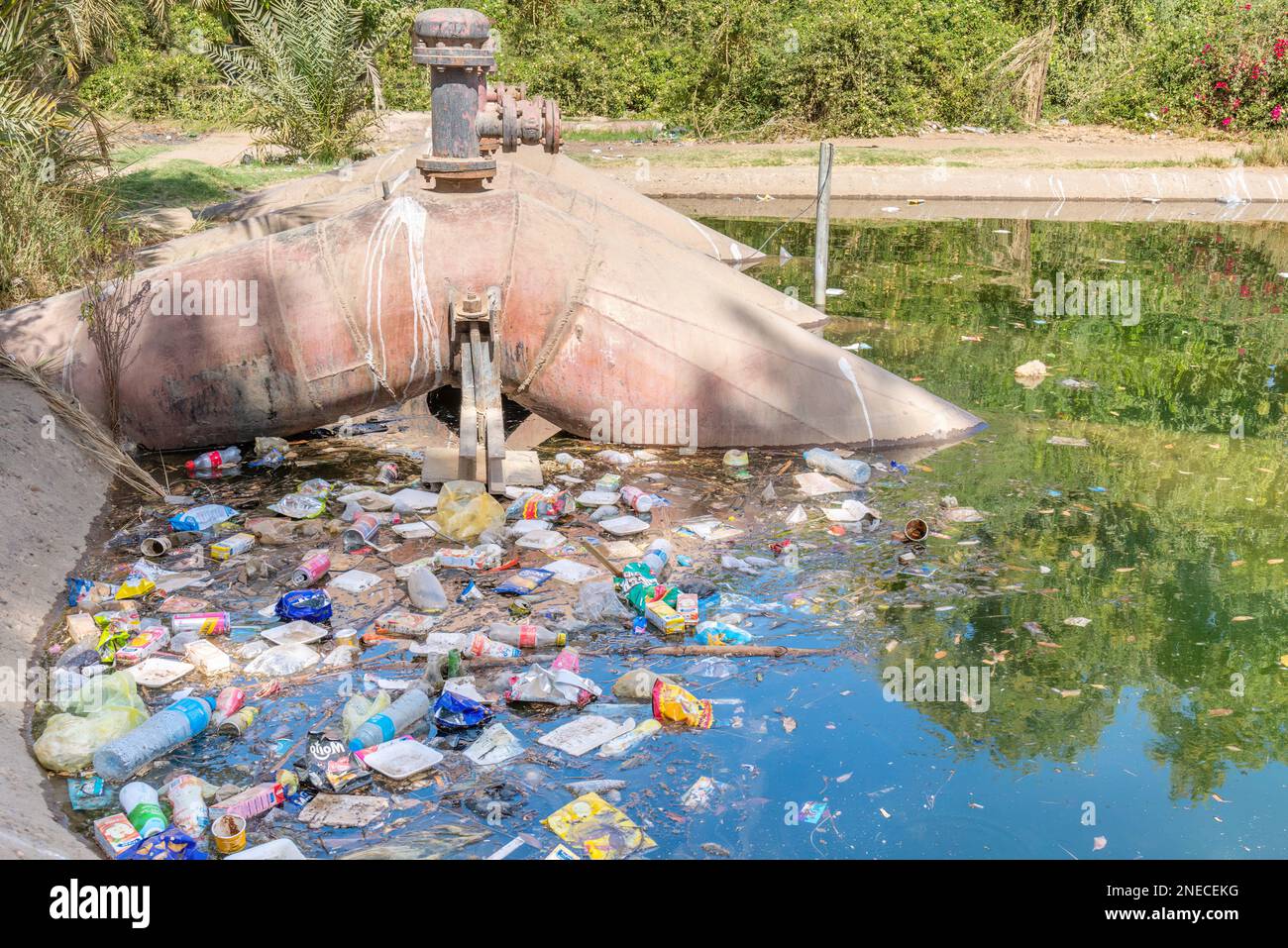 Plastikabfälle in einem Teich, der vom Nil in Assuan, Ägypten, gepumpt wird Stockfoto