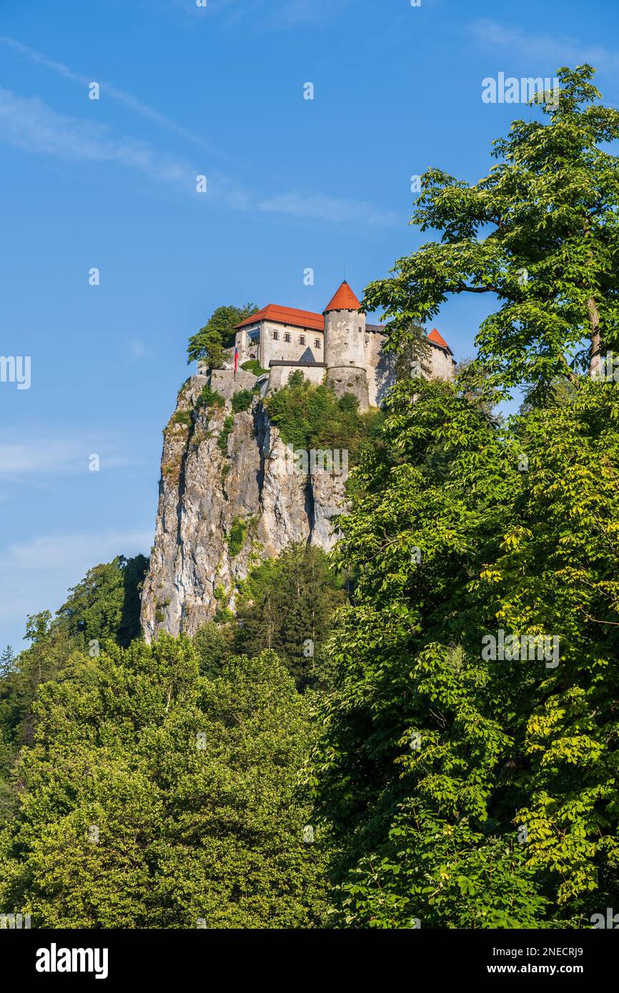 Schloss Bled in Slowenien, mittelalterliche Festung auf hohem Felsen in den Julischen Alpen, nordwestliche Region. Stockfoto