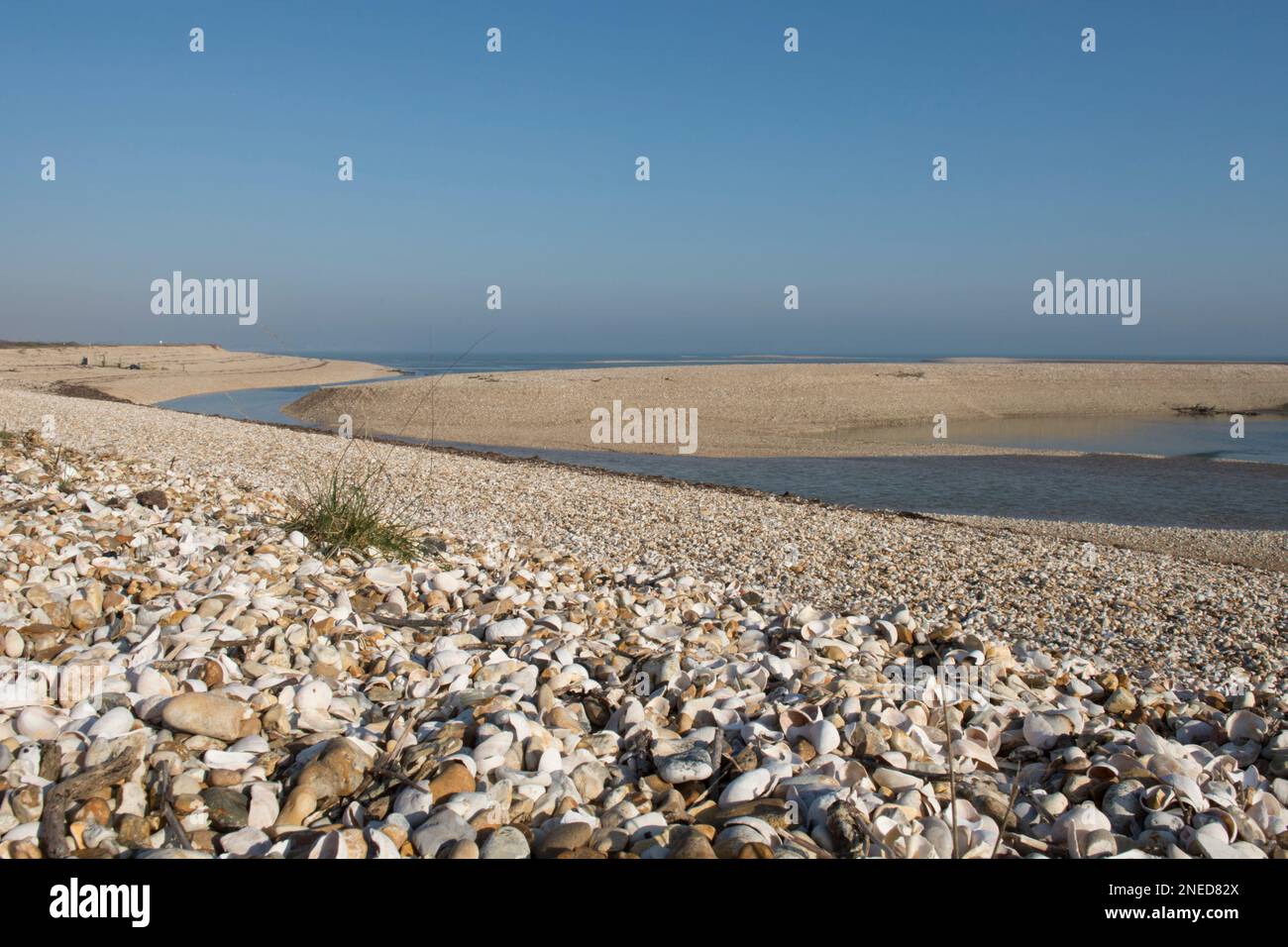 Kiesel- und Muschelstrand am Eingang nahe der Mündung des Pagham Harbour, Sussex, mit dem Meer am Horizont. Pagham Spit, Ostseite. Stockfoto