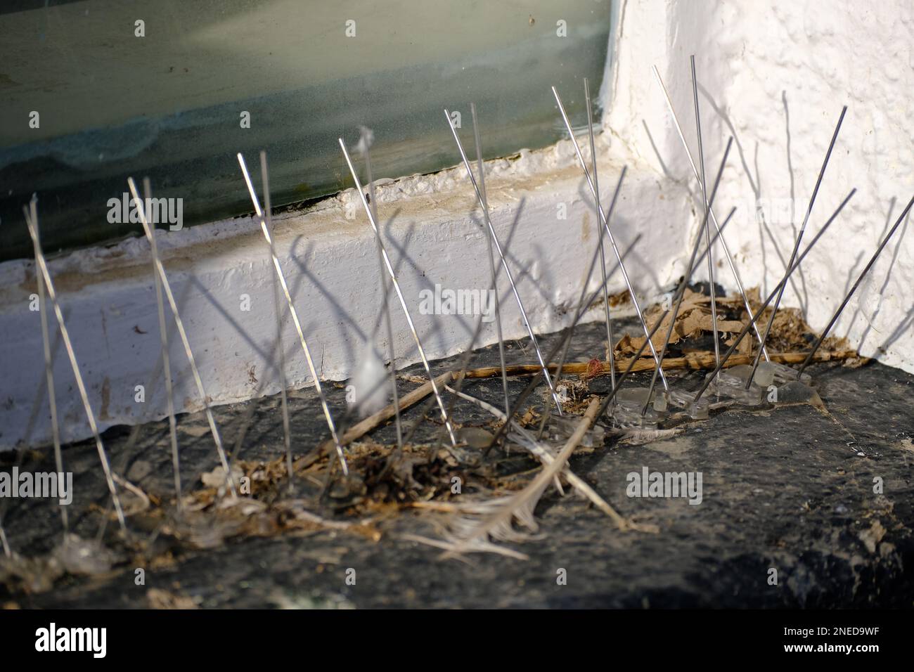 Drahtspitzen am Fenstervorsprung verhindern das Nisten und Stehen von Vögeln. Stockfoto