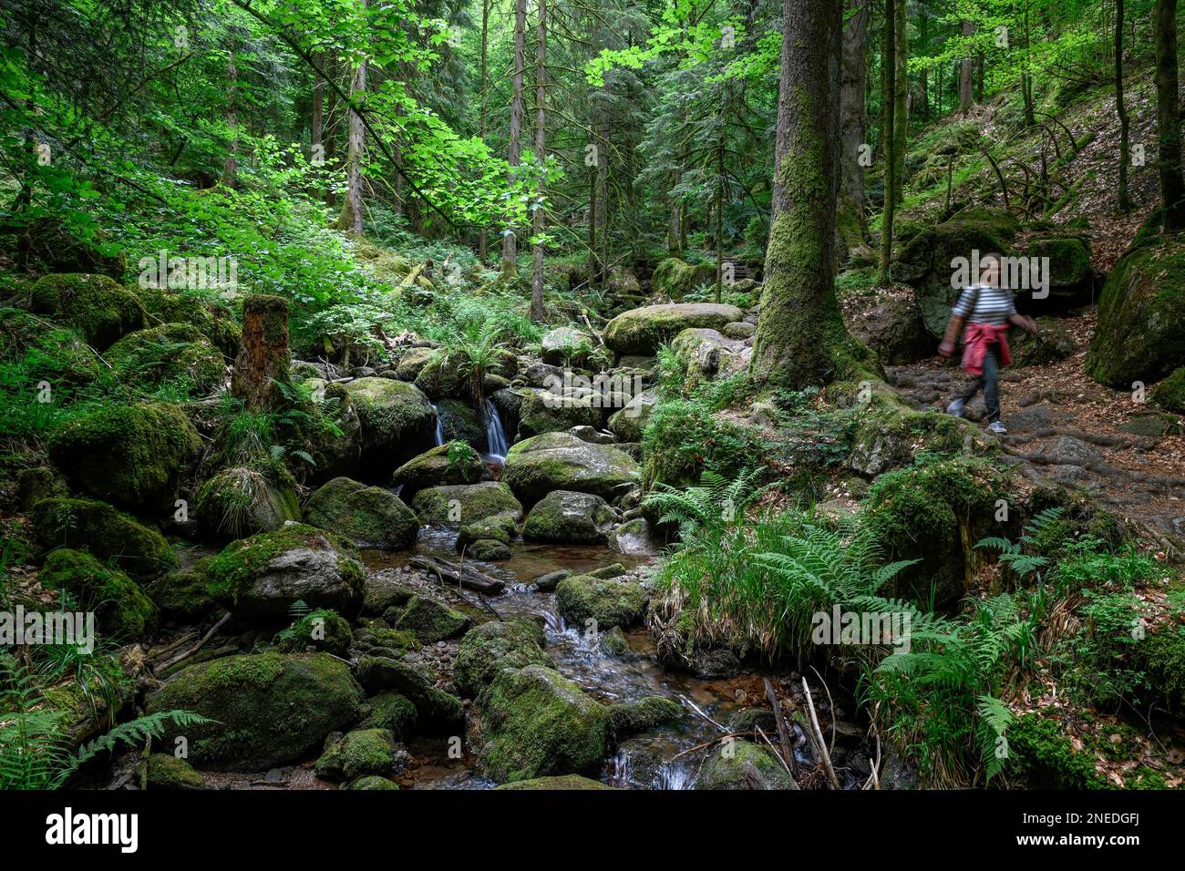 Wanderer in Gertelbach, Gertelbach Schlucht, Buehlertal, Rastatt, Schwarzwald, Baden-Württemberg, Deutschland Stockfoto