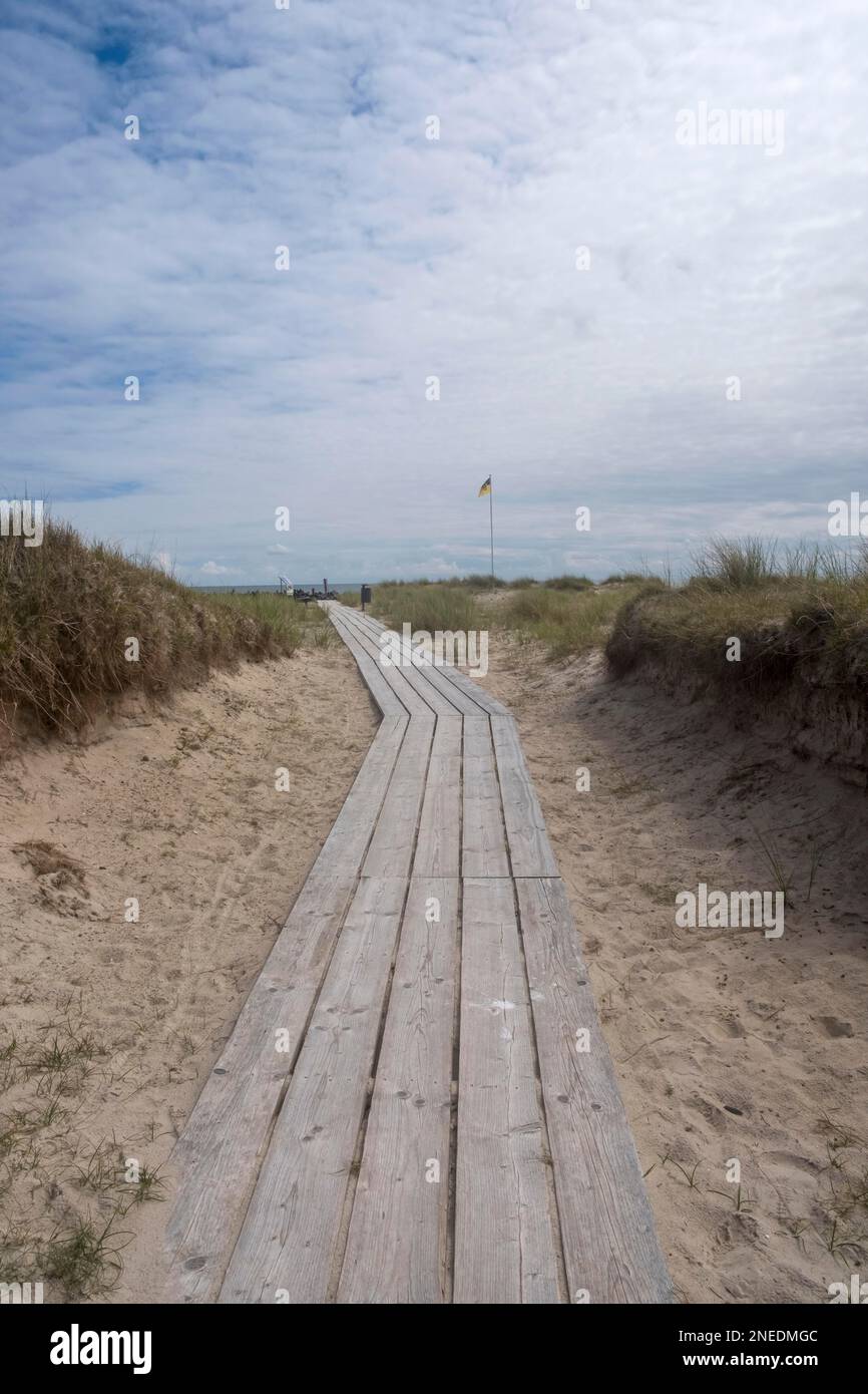 Promenade in den Dünen Stockfoto